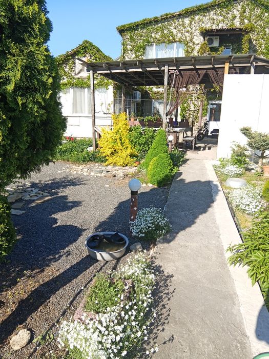 Сдам дом в Фонтанка 3