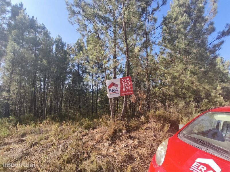 Terreno Rústico / Fundão, Silvares