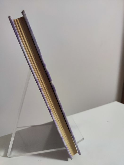 Klon i ja - Danielle Steel