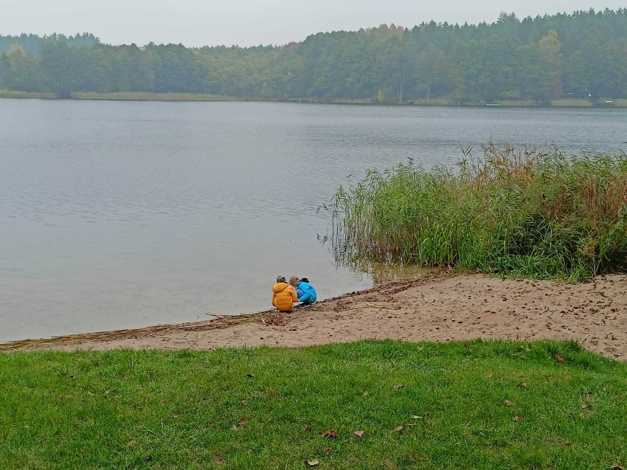 Domek letniskowy Koralik - Mazury, Warmia - jez. Kalwa, Krzywonoga