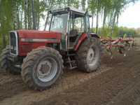 Massey Ferguson 3125 MF