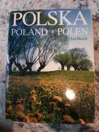 Jan Morek Polska (PJBSZP1)