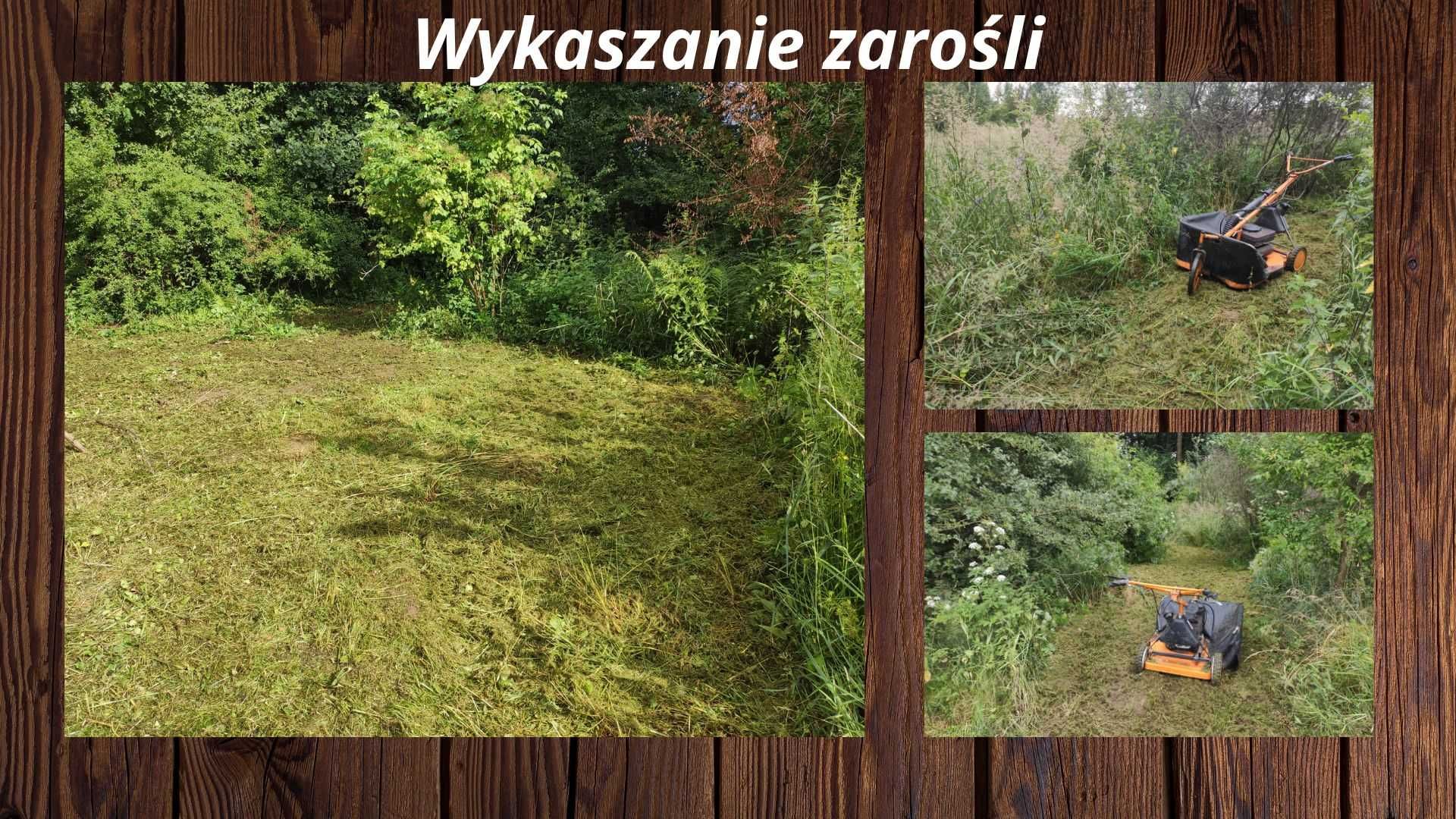 Profesjonalne Usługi Ogrodnicze, Wynajem narzędzi