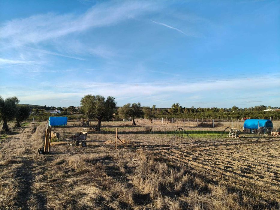 Terreno Rústico Vedado