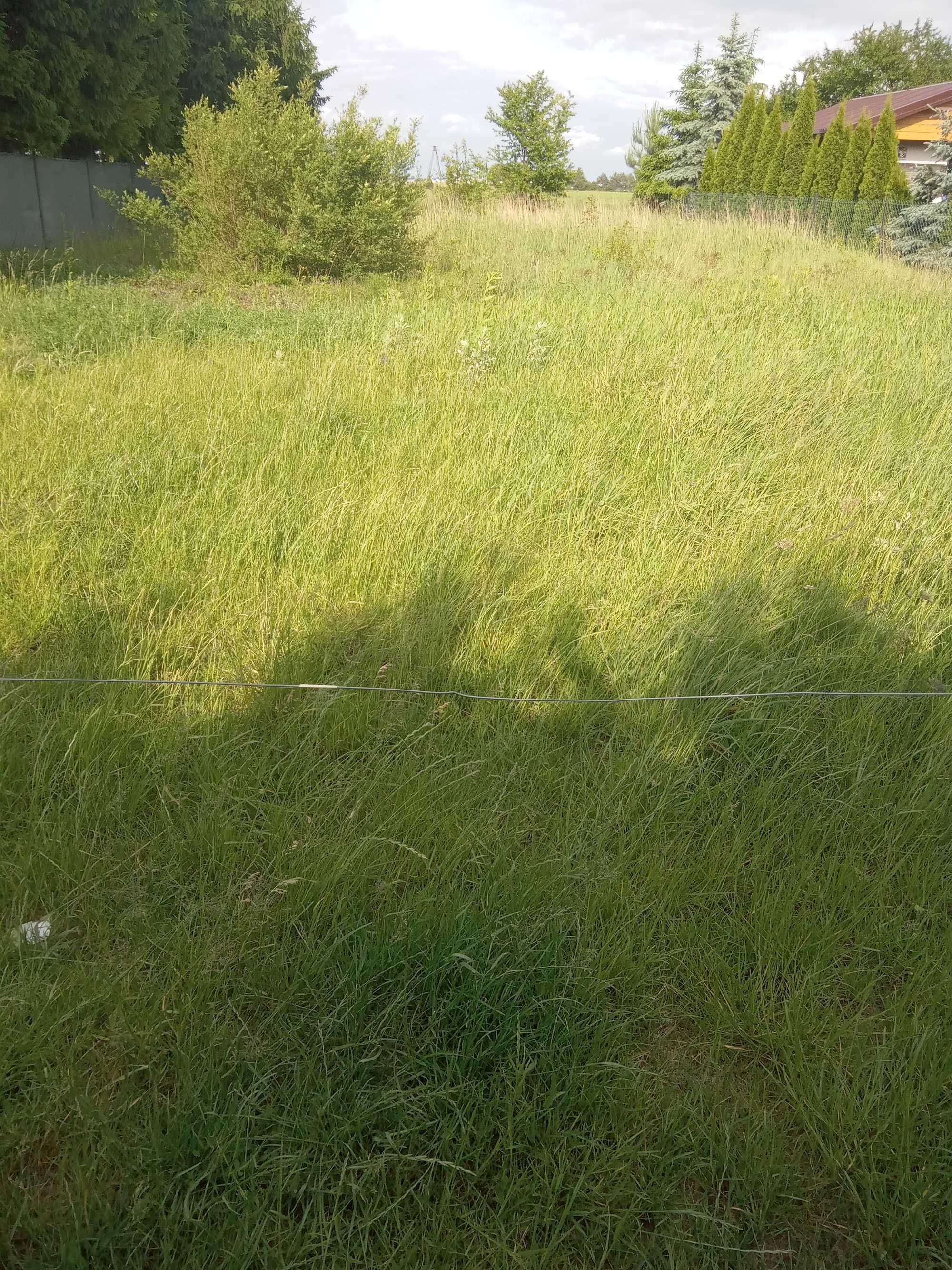 Oddam trawę 500 metrów