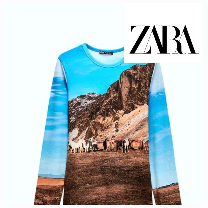 Реглан лонглислив Zara р. M - L с принтом, Зара.