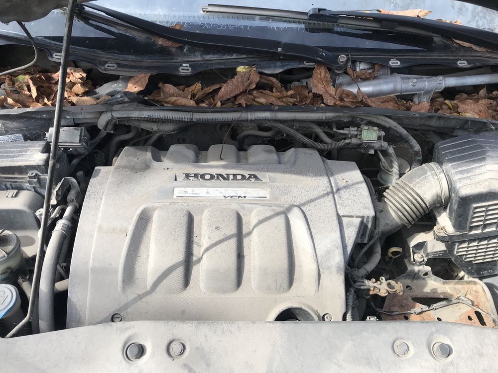 Разборка Хонда Одисей Honda Odyssey