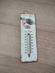 Termómetro temperatura