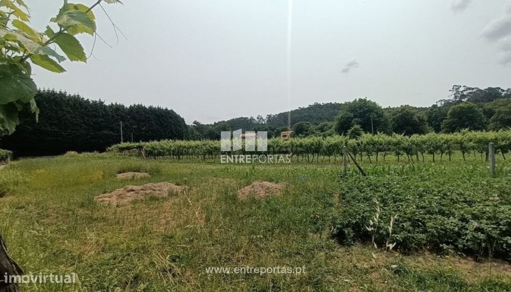 Venda de terreno para construção, Vitorino das Donas, Ponte de Lima