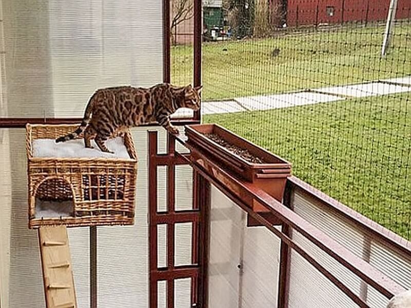 Wzmocniona Siatka Dla Kota ochronna na balkon Oczko 40 mm