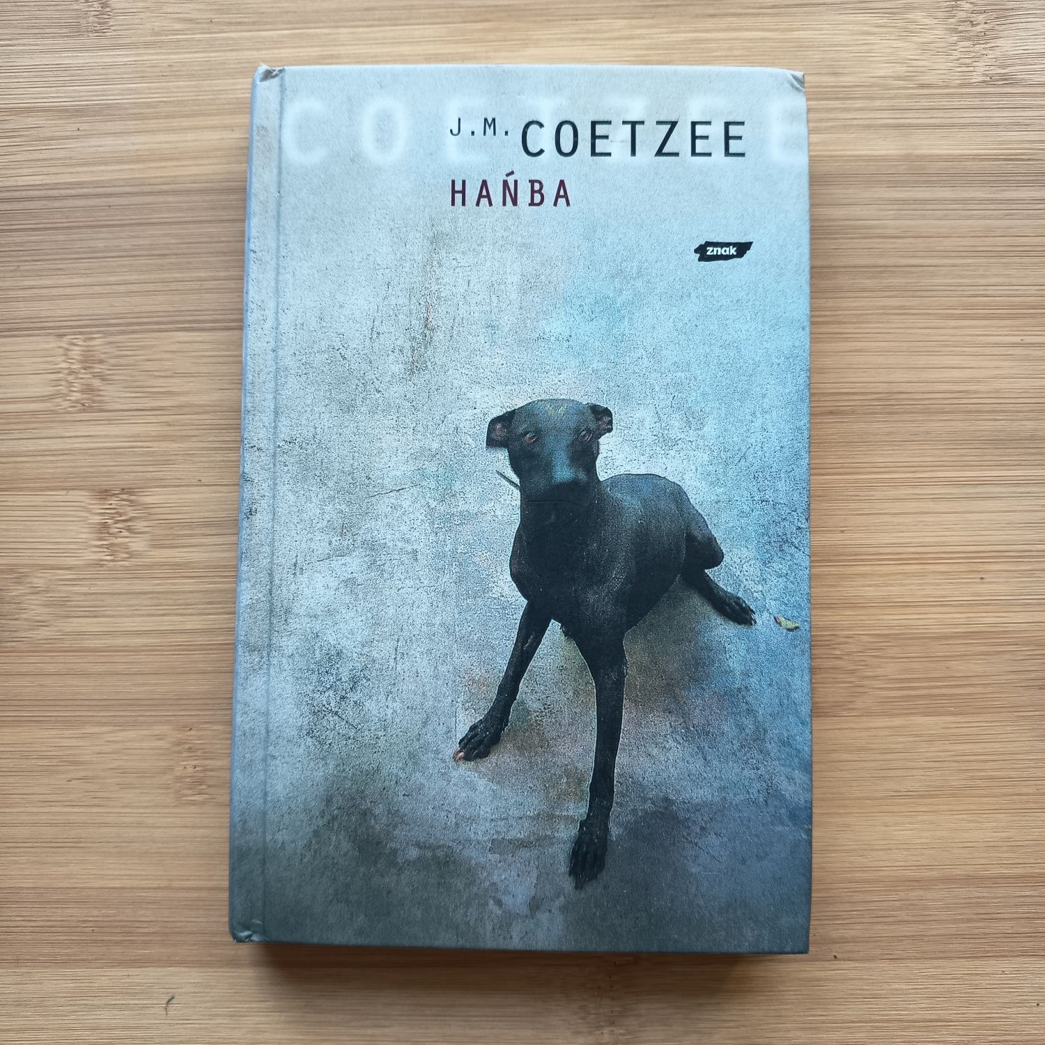 J. M. Coetzee "Hańba"