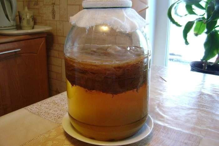 Чайний гриб"комбуча"дешевше немає