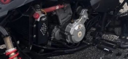 Polaris Predator 500