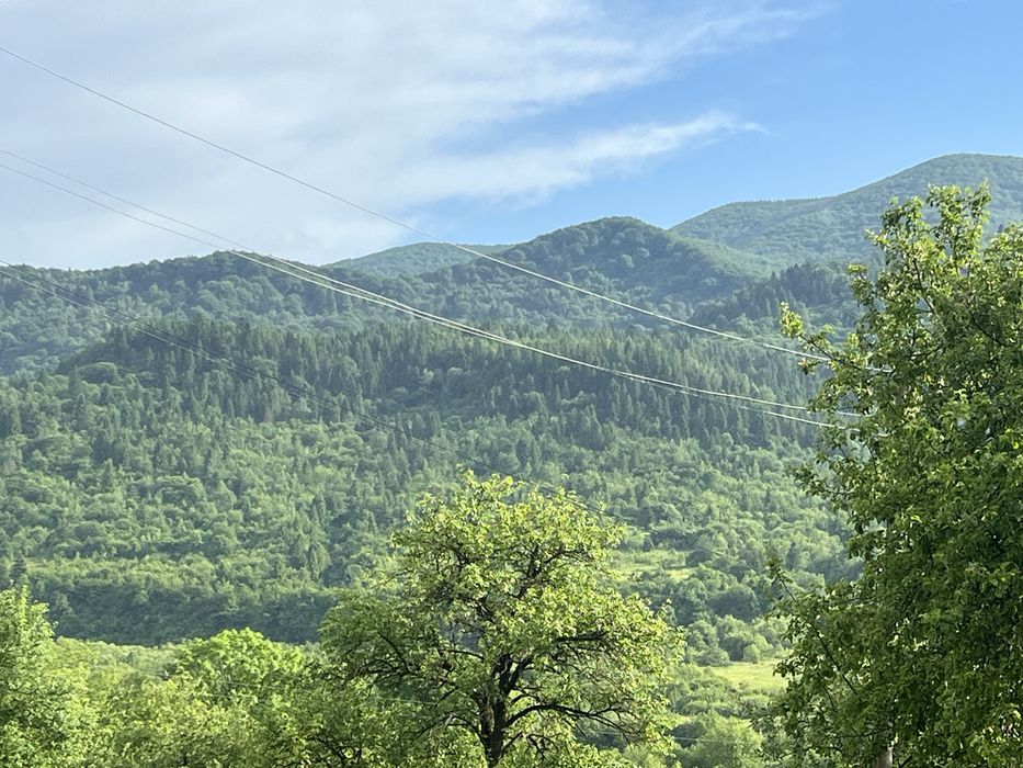 Східниця-Відпочинок в Карпатах. Оренда. Здам.Котедж з басейном.