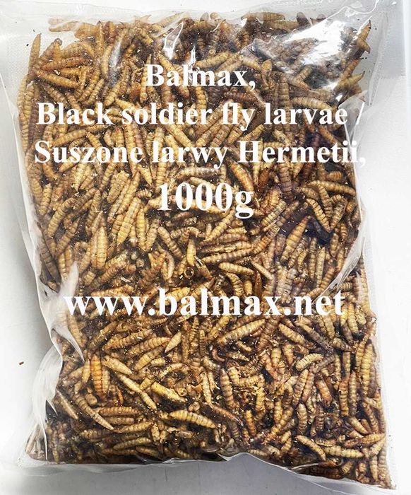 Balmax, Suszone larwy Hermetii / dried larvae Hermetia / 1000g.