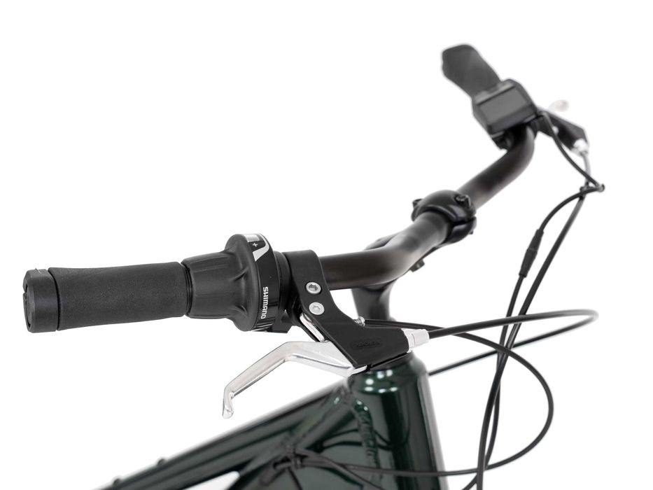 Rower elektryczny PROECO TRK 1.0 Low Frame Integrated zielony