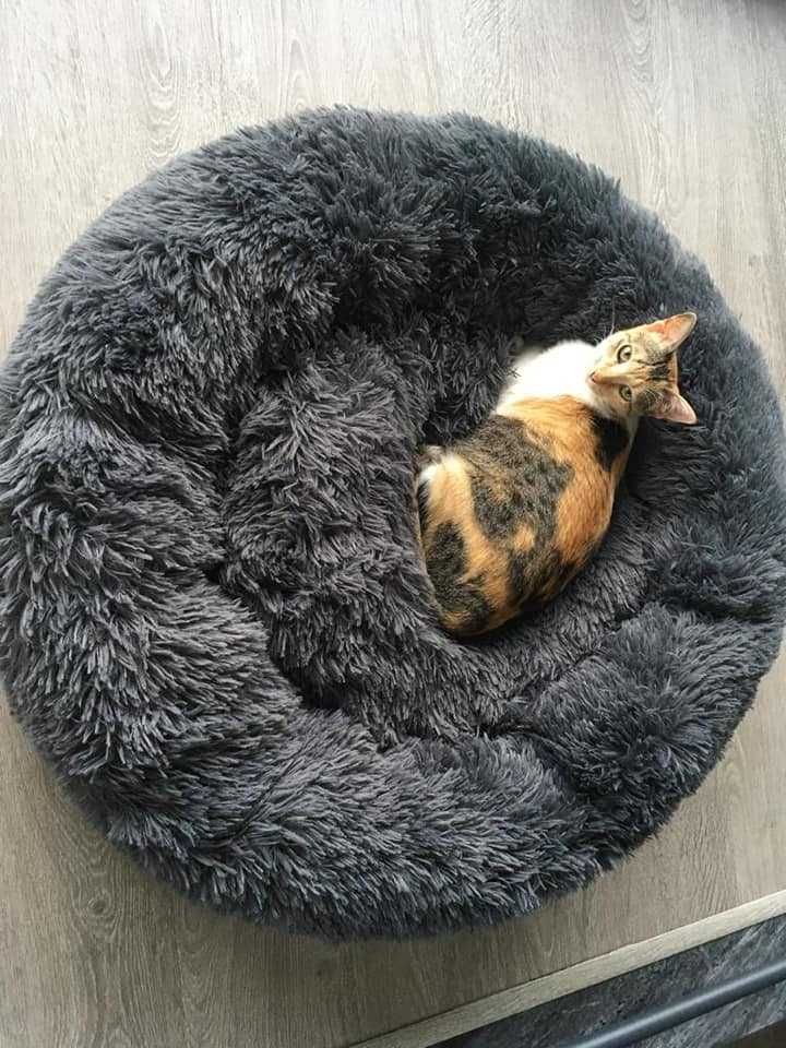 Novo! Cama com pêlo para cão e gato