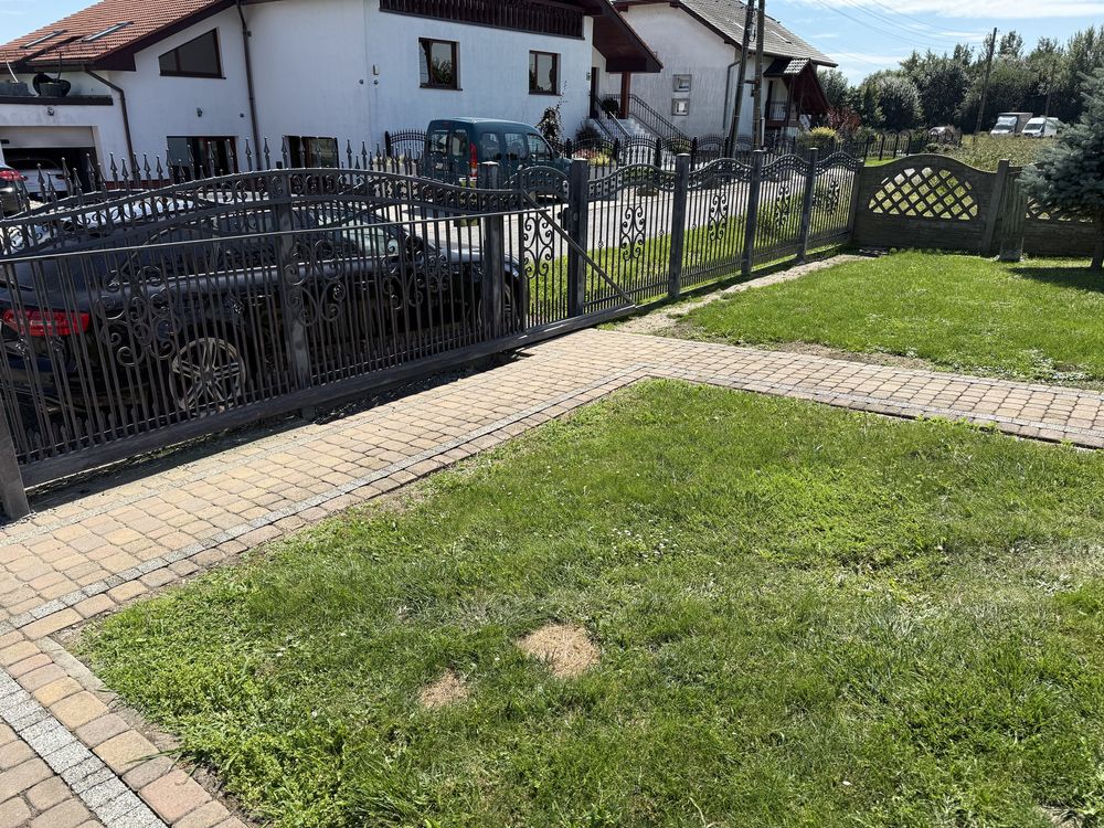 Plot kuty przedni