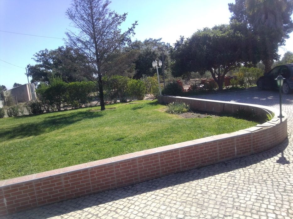 Jardinagem podas e abate de árvores