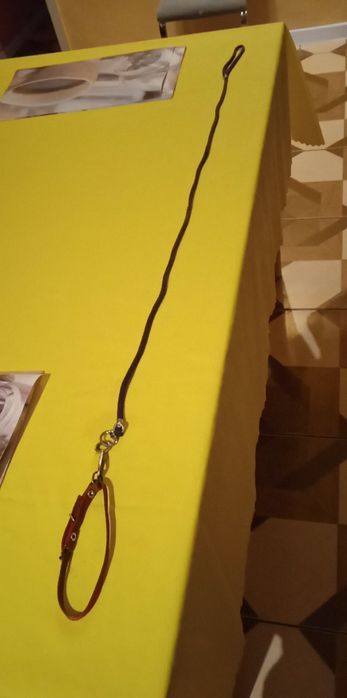 Smycz +obroża dla malutkiego pieska