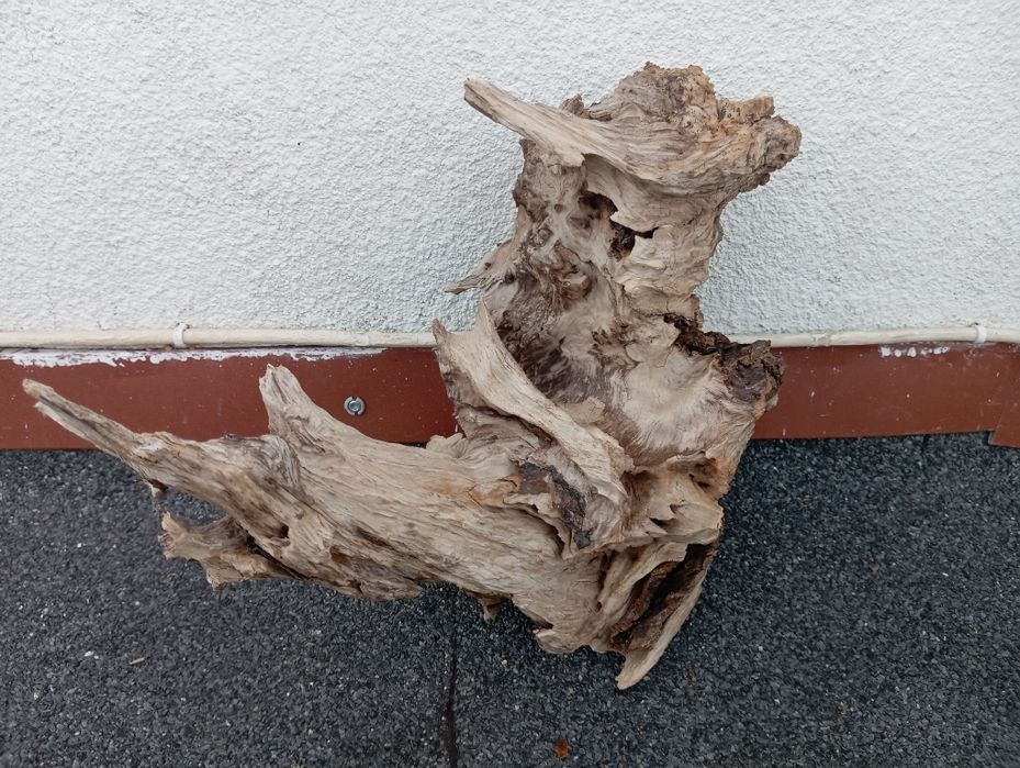 Korzenie do akwarium cd ,terrarium duży wybór !