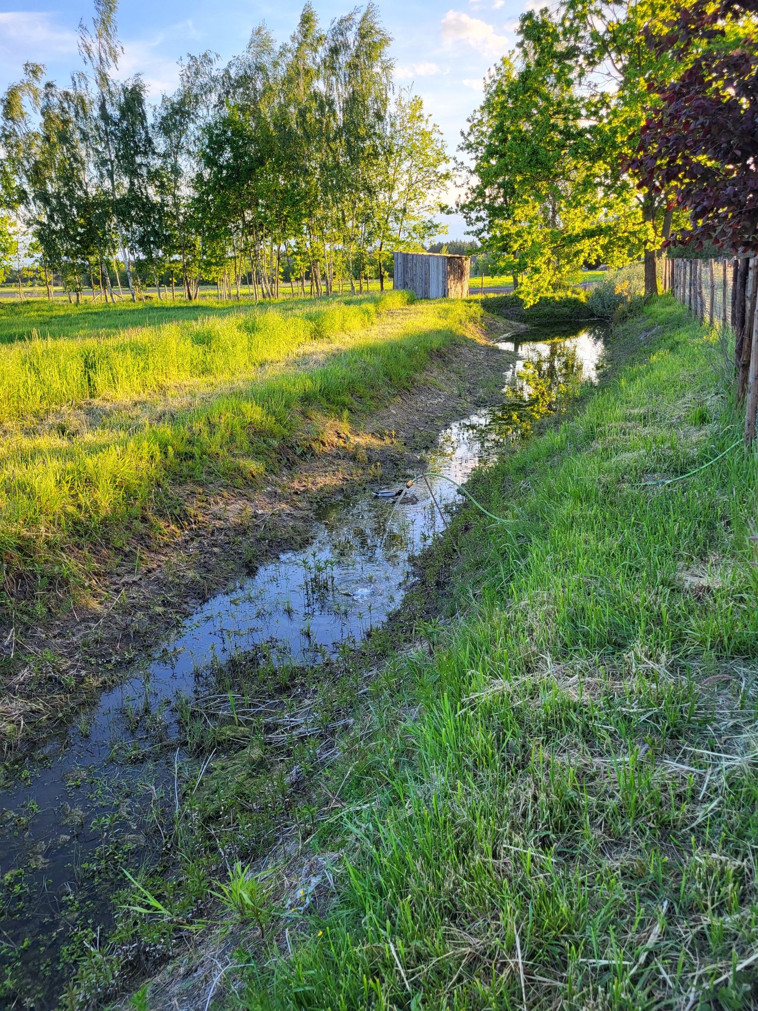 Kwatery Siedlce, noclegi Siedlce, dom Siedlce, siedlisko Siedlce