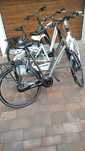 Rower holenderski Gazelle Batavus