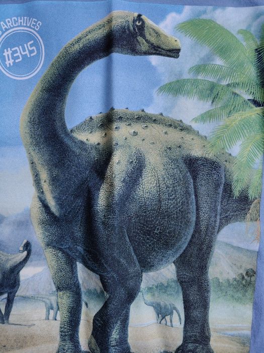 Bluzeczka dinozaur 122/128 H&M