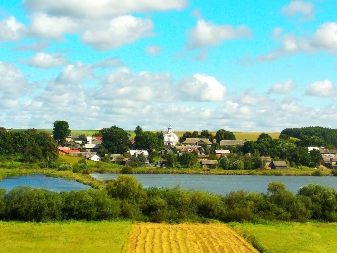 Мед бджолиний натуральний