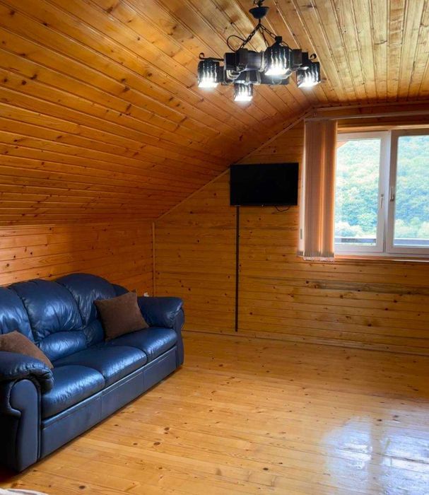 Будинок мрії на березі Дністра