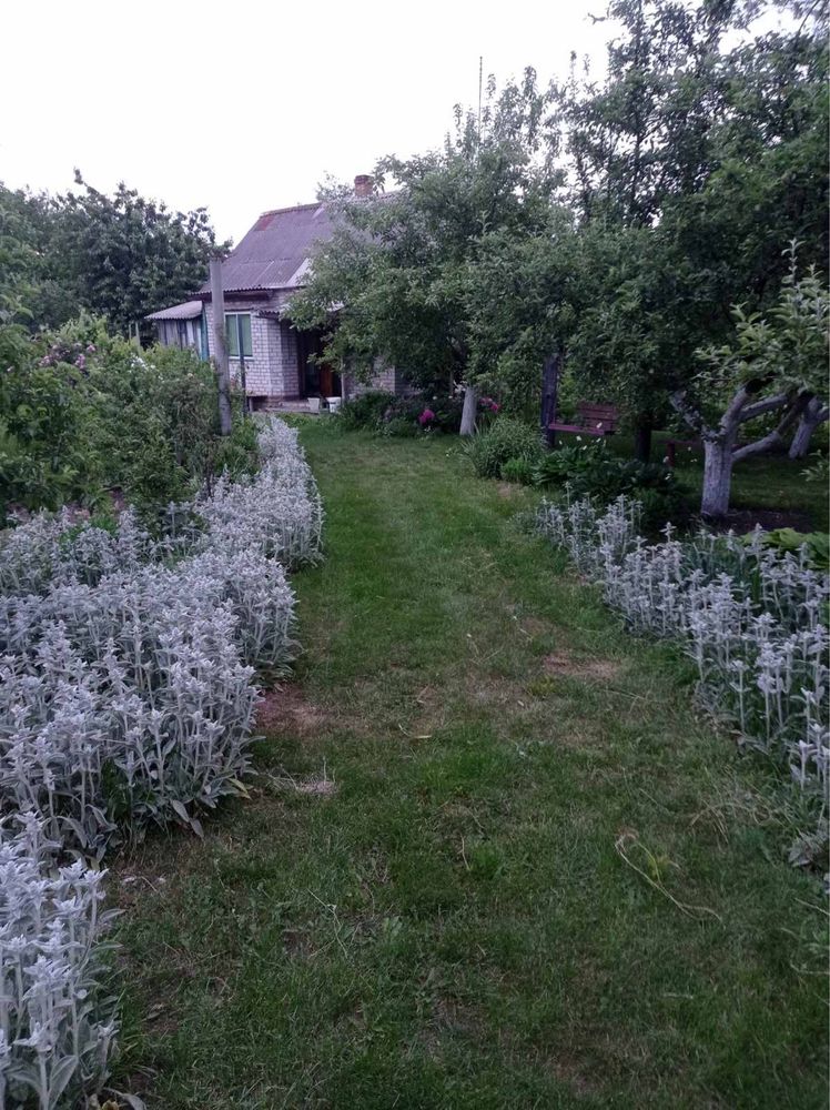Продам не дорого гарну, затишну дачу с.Бурти