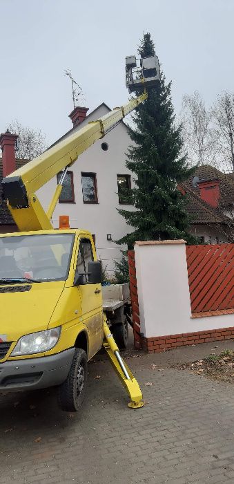 Wycinka drzew, podnośnik koszowy, rębak do gałęzi, frezowanie pni