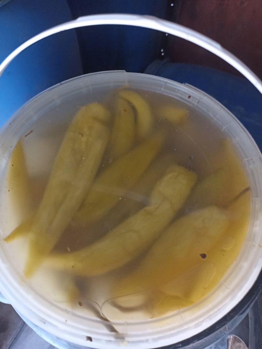 Продам овощи и соленья та квашенья