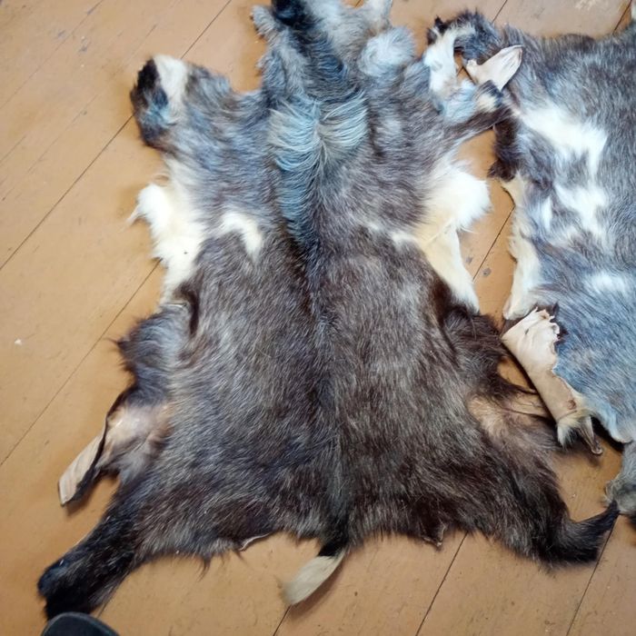 Skóry z kozy/ Skóry dekoracyjne