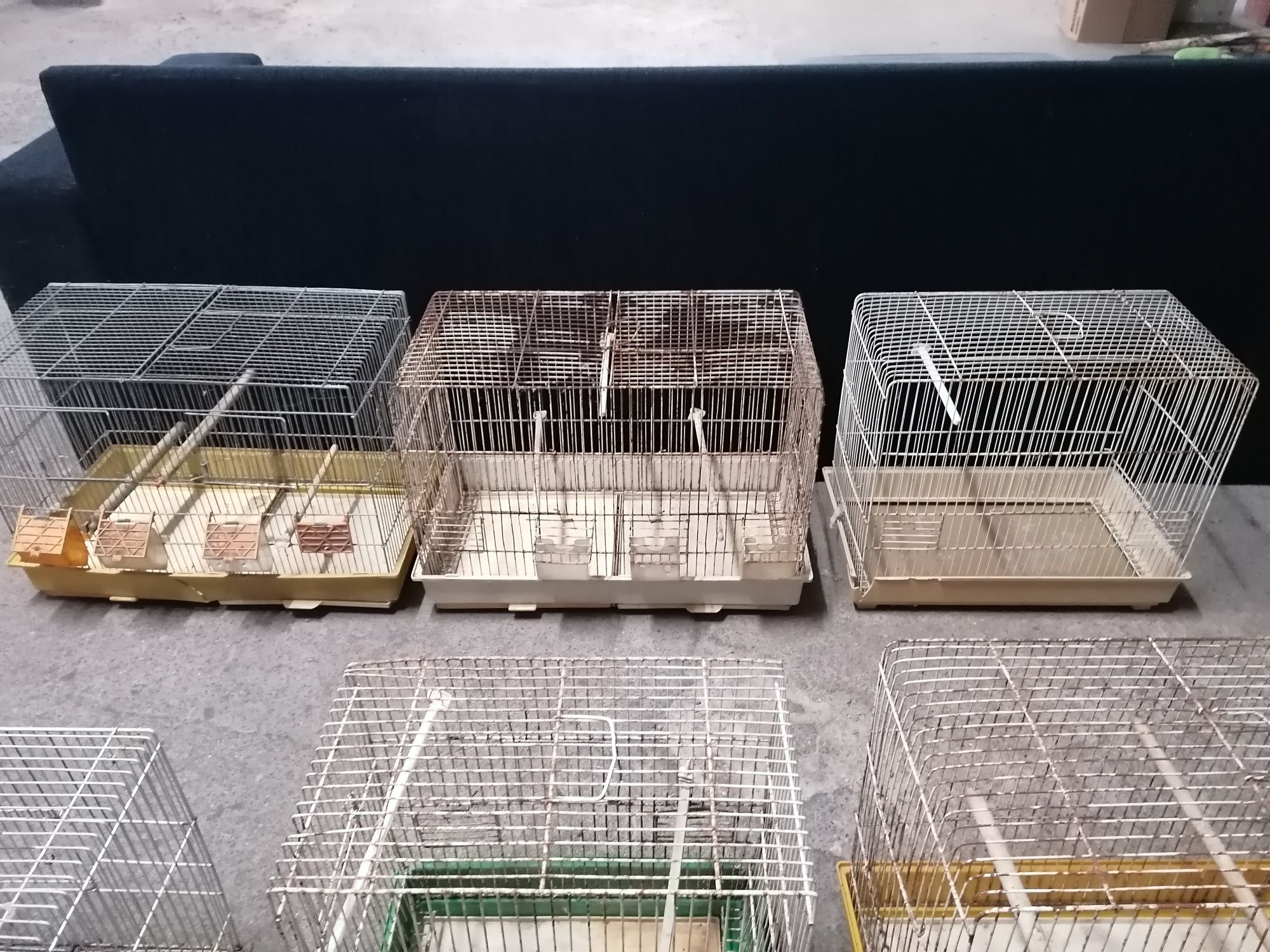 Gaiolas pássaros