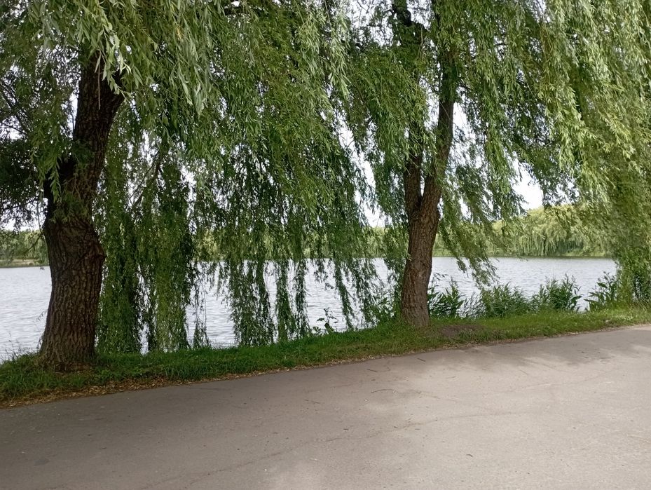 Будинок на Гідропарку