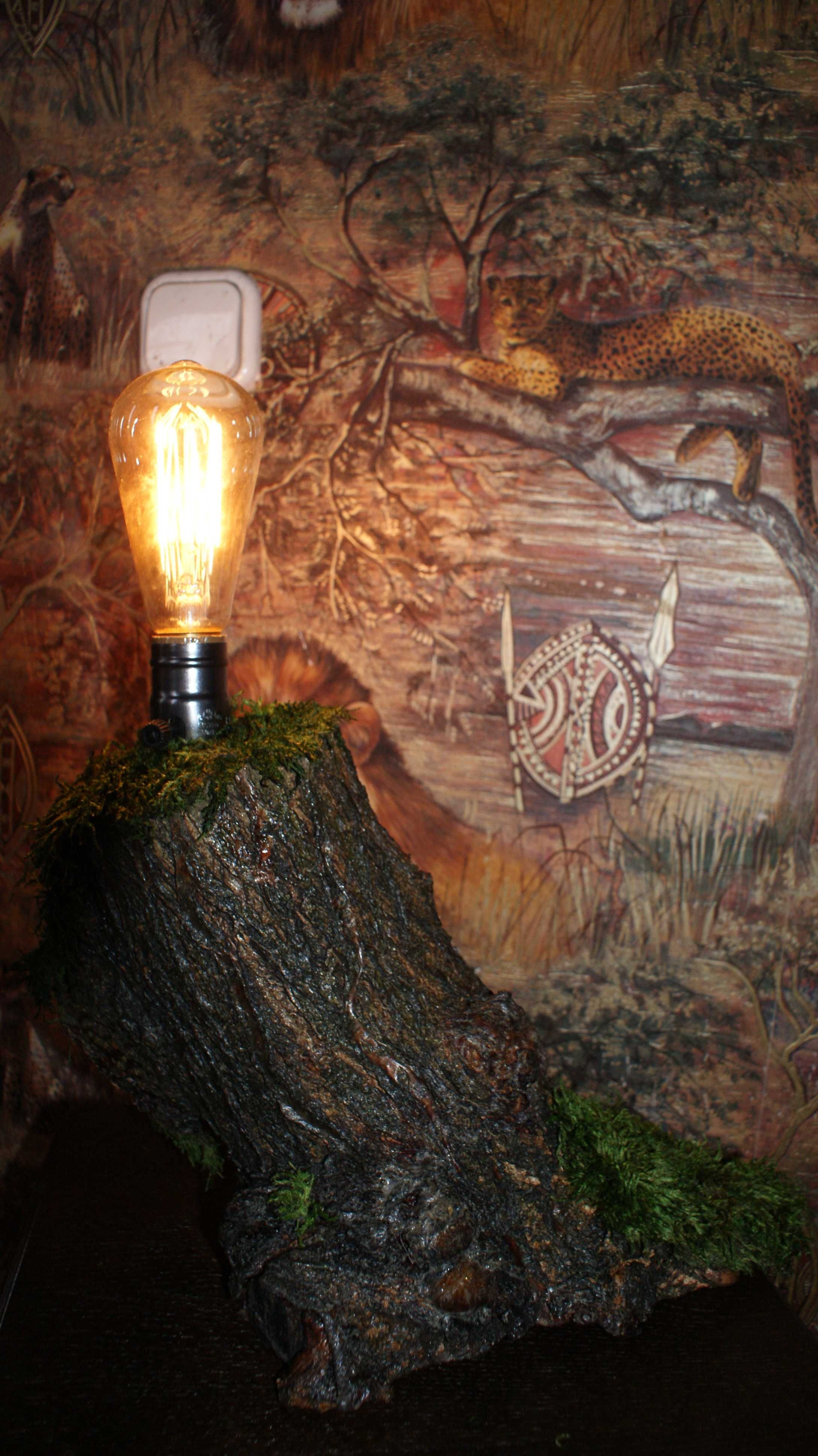 Дизайнерський світильник бра, настільна лампа, декор з дерева та моху.