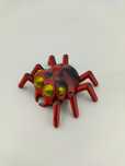 Pająk mały spider skakun czarny czerwony dwu kolorowy