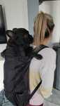 Mochila para transporte de cães - Novo