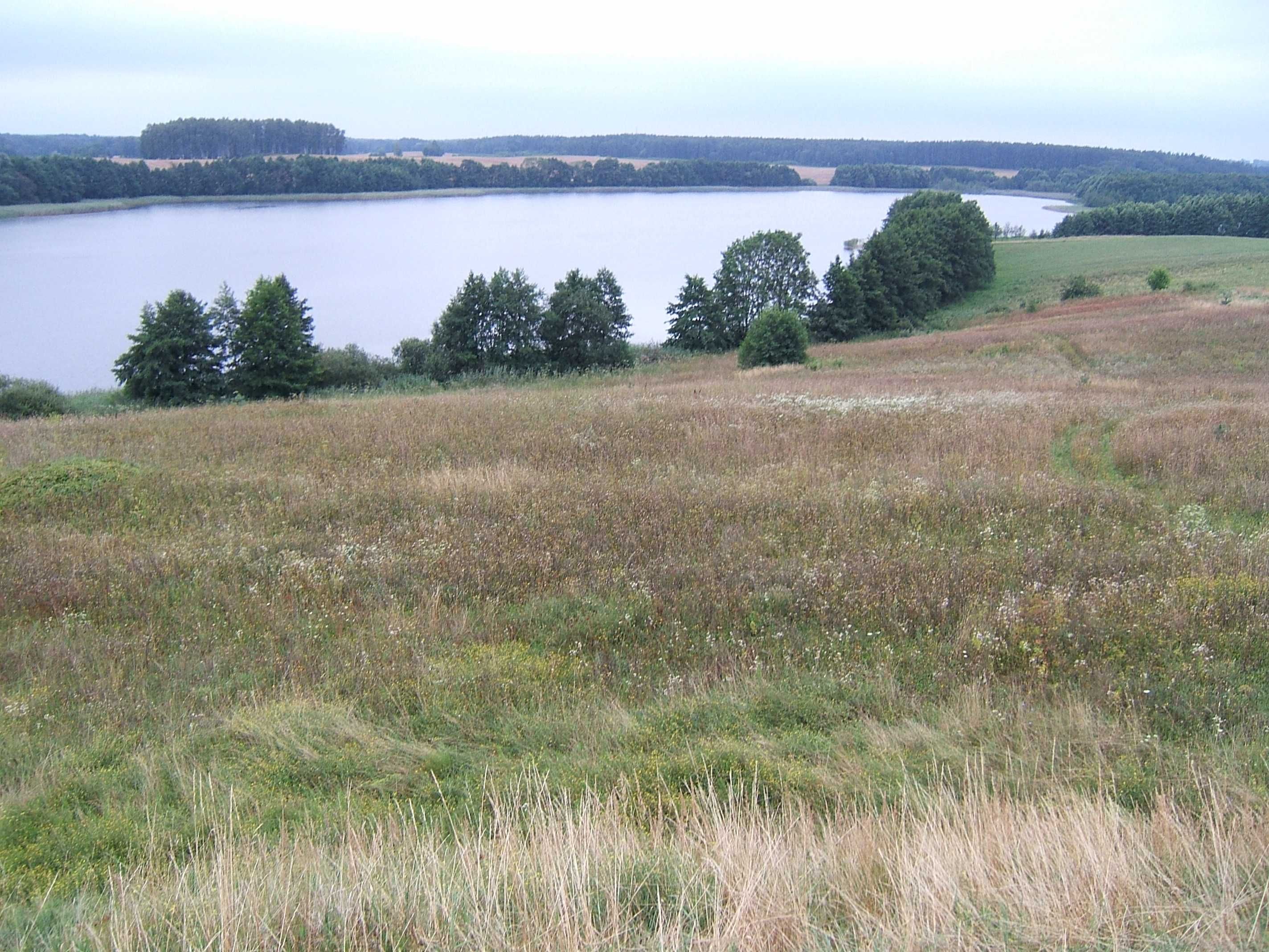 Działka 3101 m, Mazury, jezioro Orło (media, wydane warunki zabudowy)