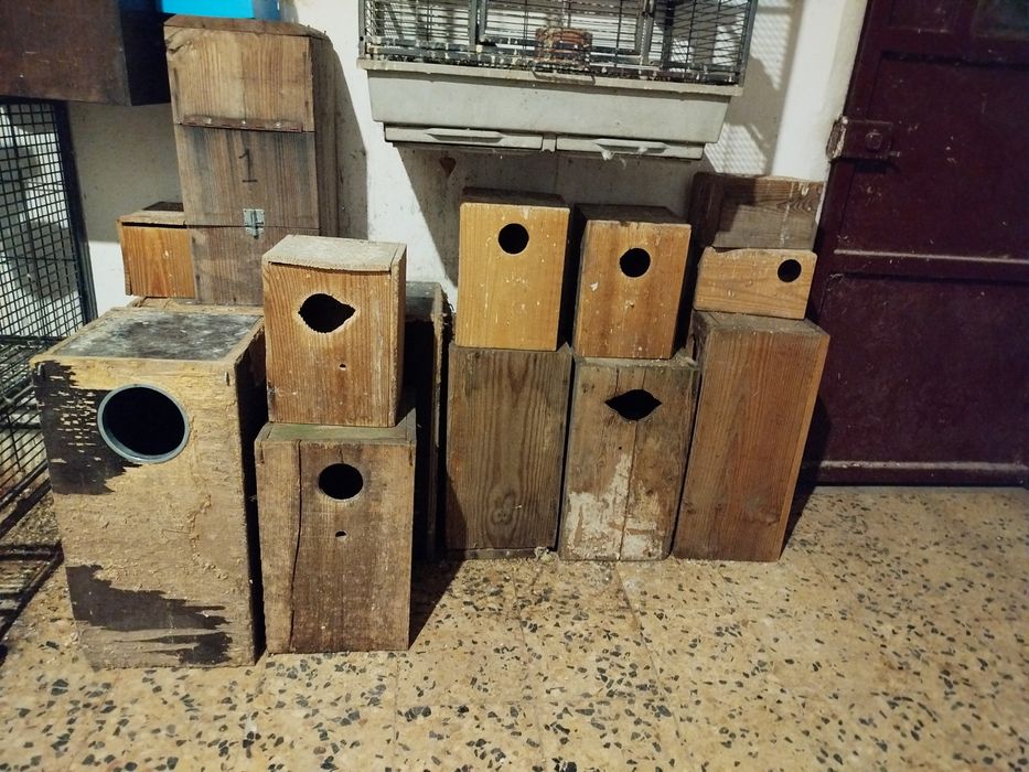 Ninhos de madeira