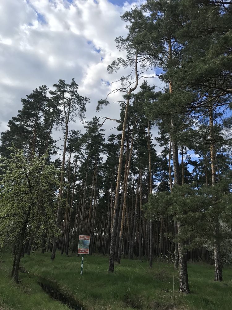 Продам земельну ділянку у садовому товаристві. Село Пилиповичі