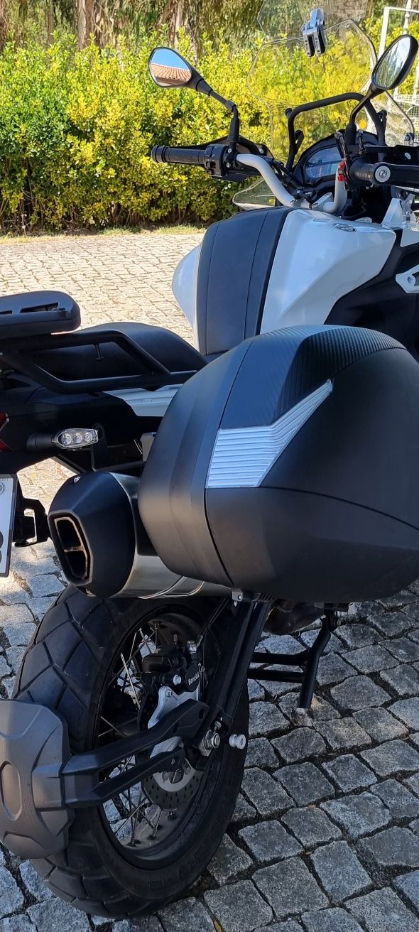 Benelli TRK 502X + Kit malas Shad