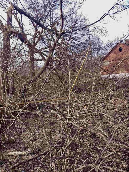 Спил дерева . Розчистимо Вашу ділянку від чагарників , гілок ,дерев