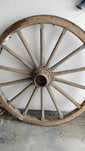 Roda madeira Carroça