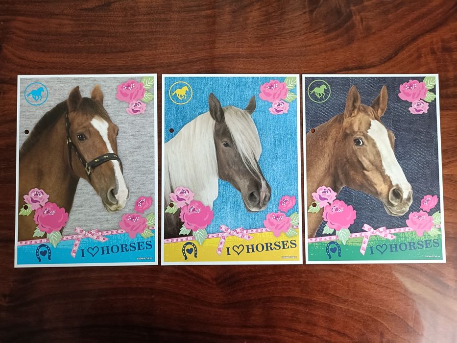 Karteczki do segregatora - I Love Horses A5