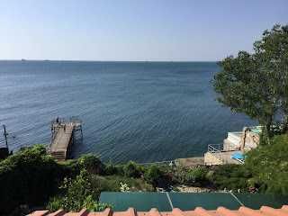 Дача Ковалевского  Продам  дом -дачу  первая  линия  моря Л.Д.