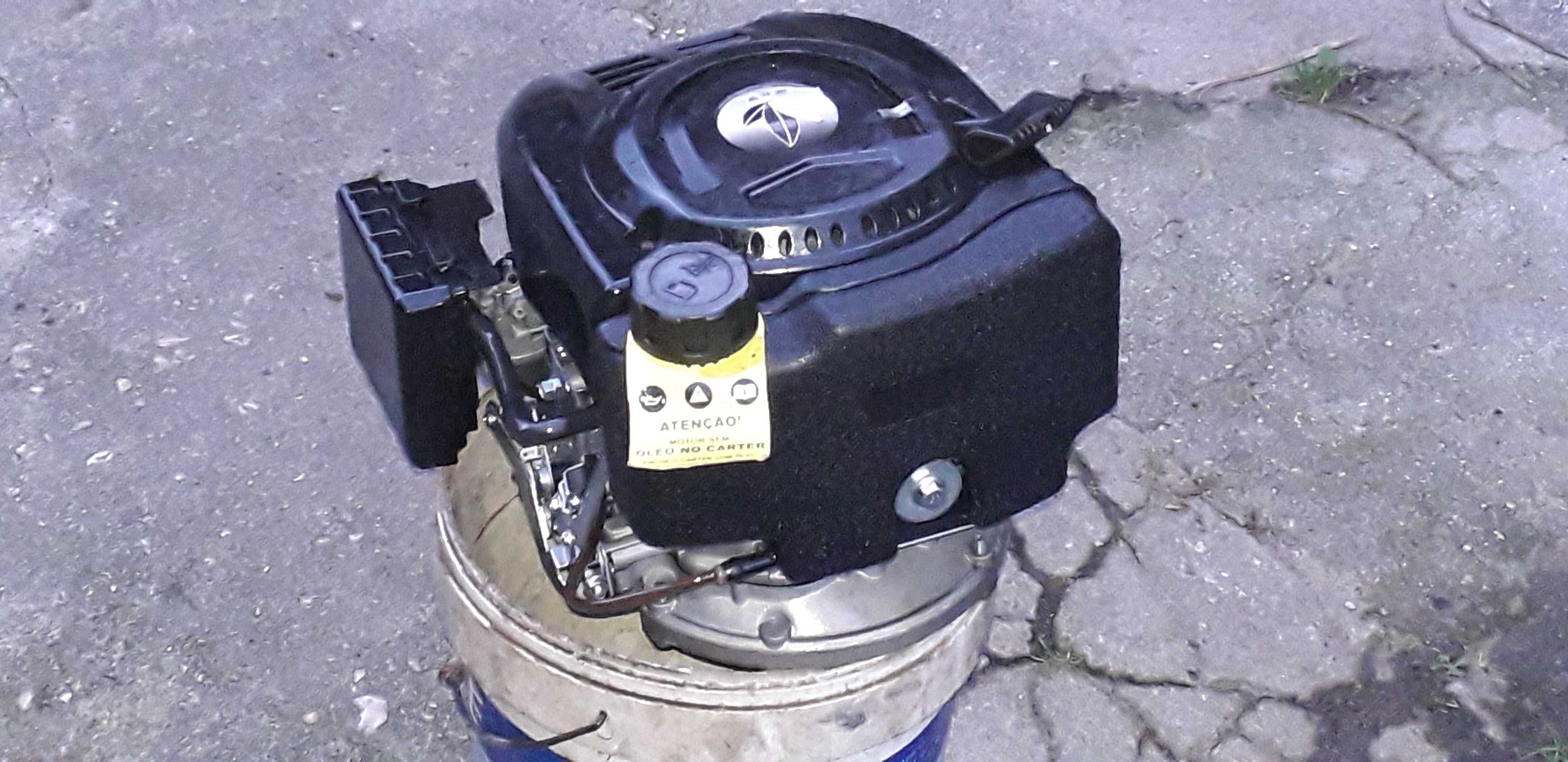 Motor de 5,5cv  para motoenxada ou corta relvas