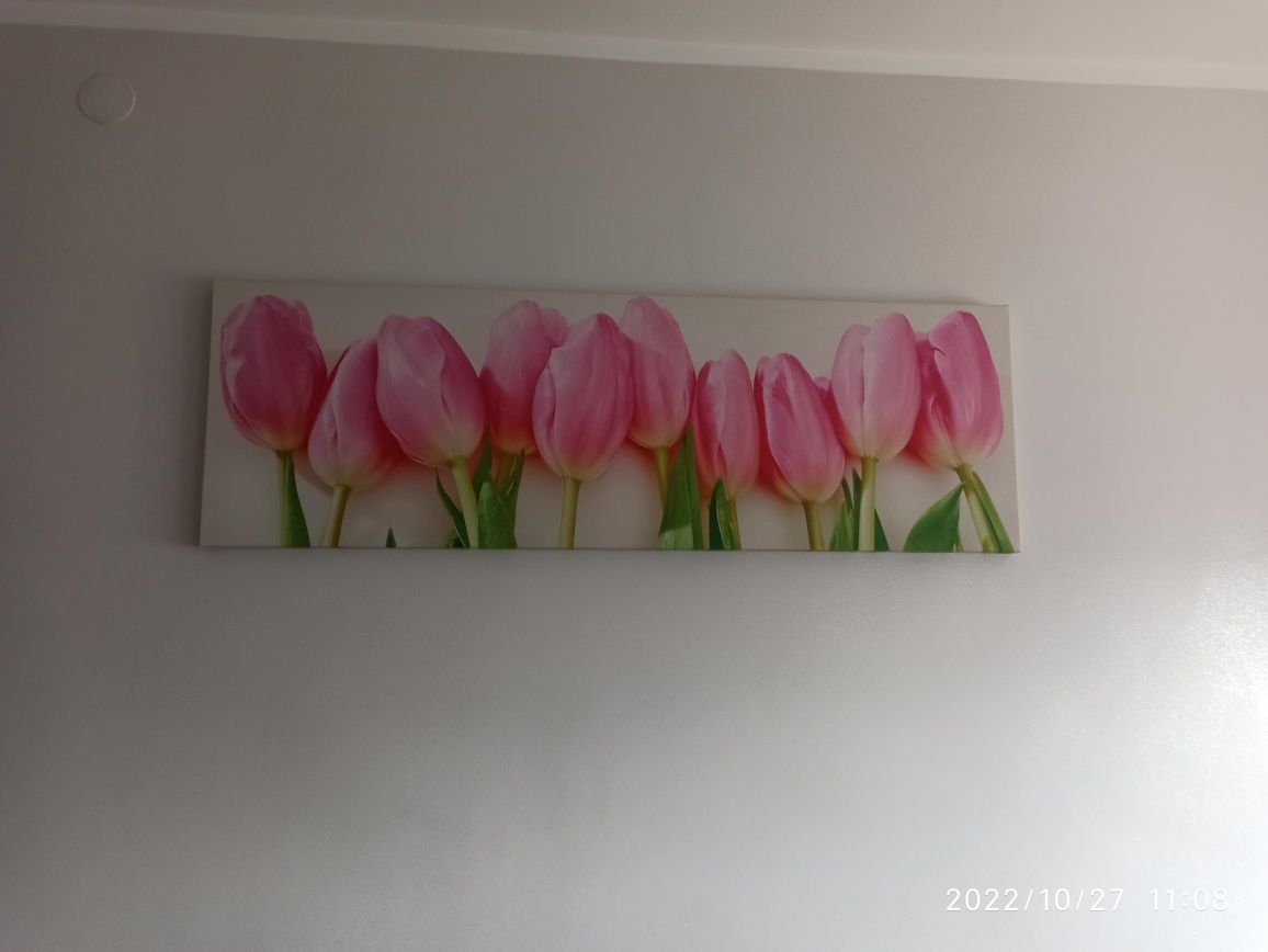 Obraz tulipany kwiaty róż