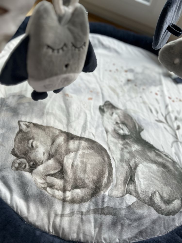 Mata edukacyjna dla niemowlaka Baby Steps